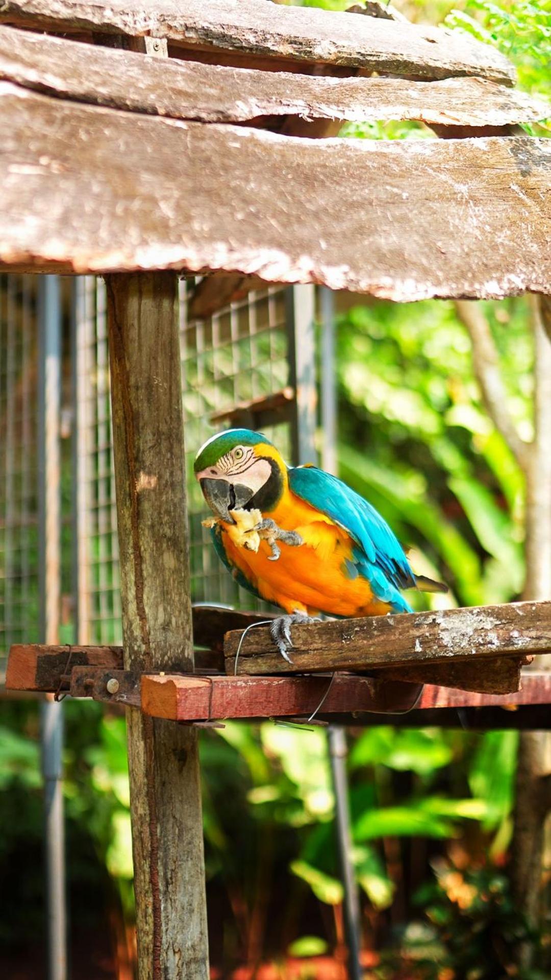 Colina De Montalva Otel Tarapoto Dış mekan fotoğraf