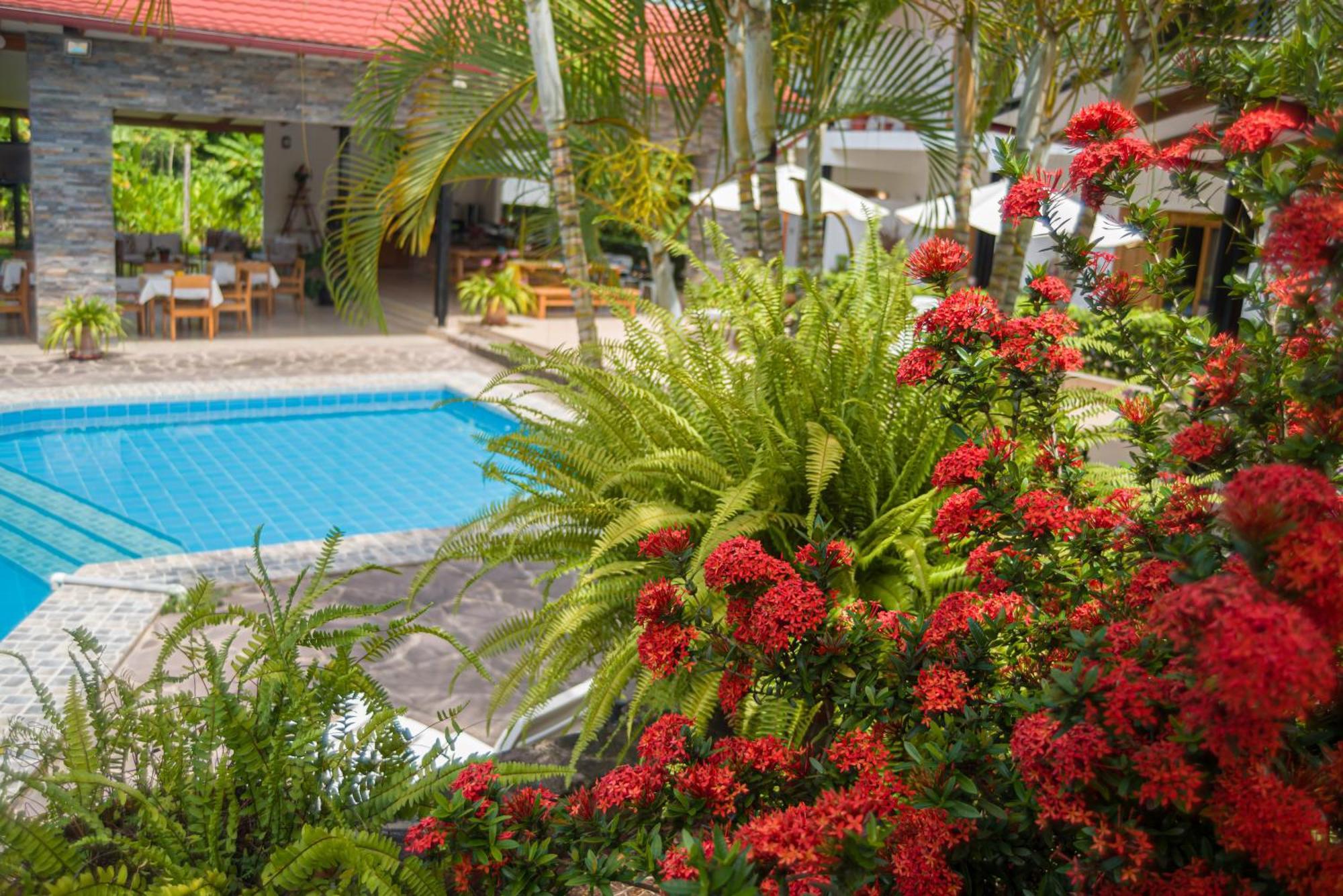 Colina De Montalva Otel Tarapoto Dış mekan fotoğraf