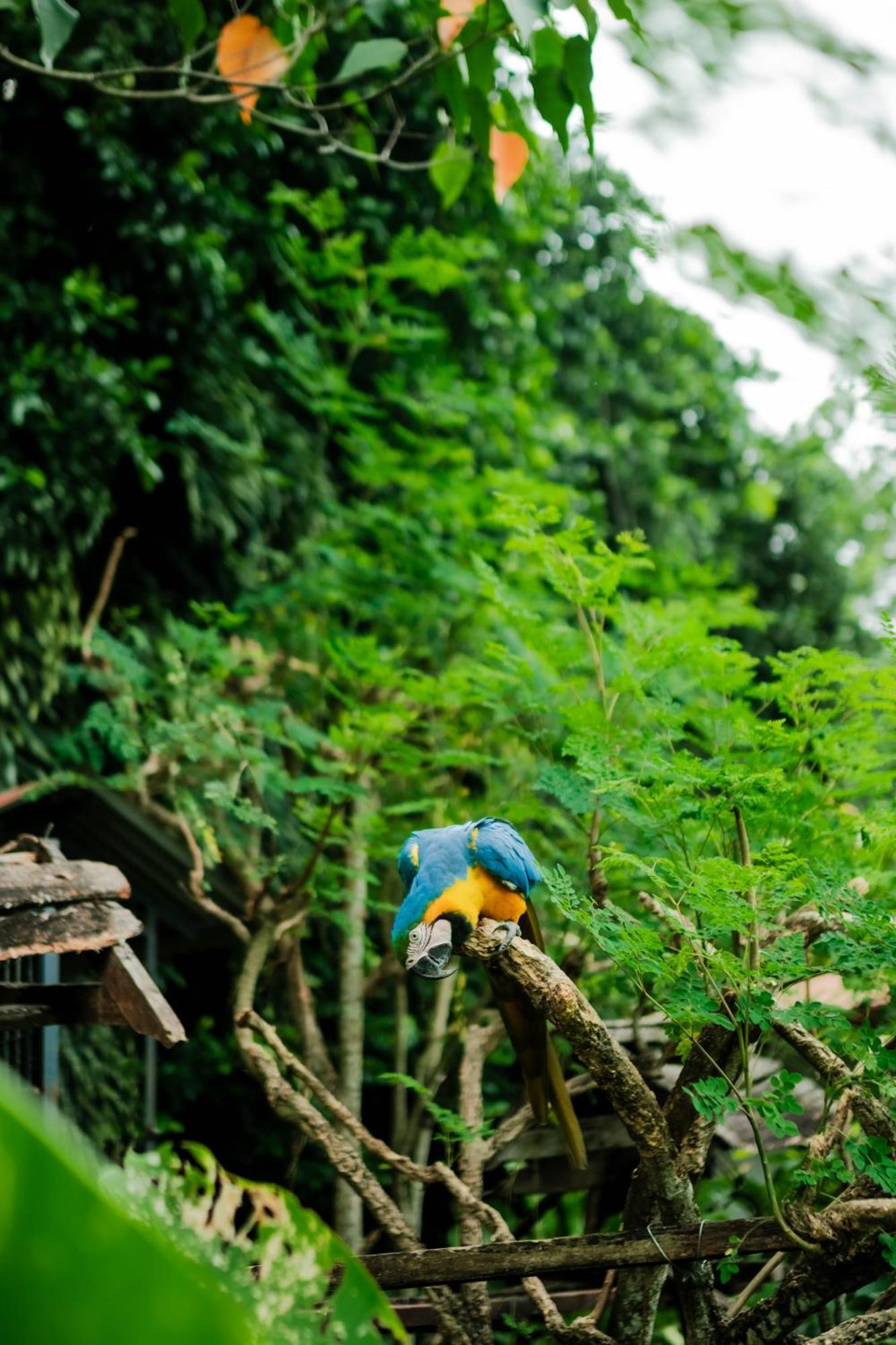 Colina De Montalva Otel Tarapoto Dış mekan fotoğraf